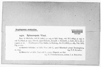 Botryosphaeria visci image